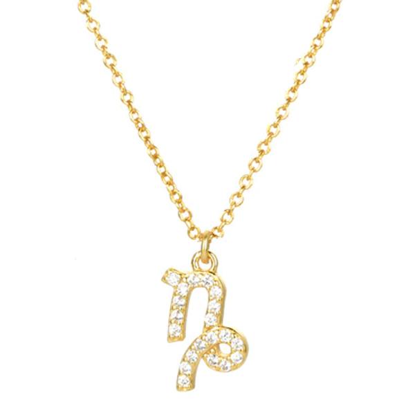 Icy Zodiac Necklace - House of Carats UK